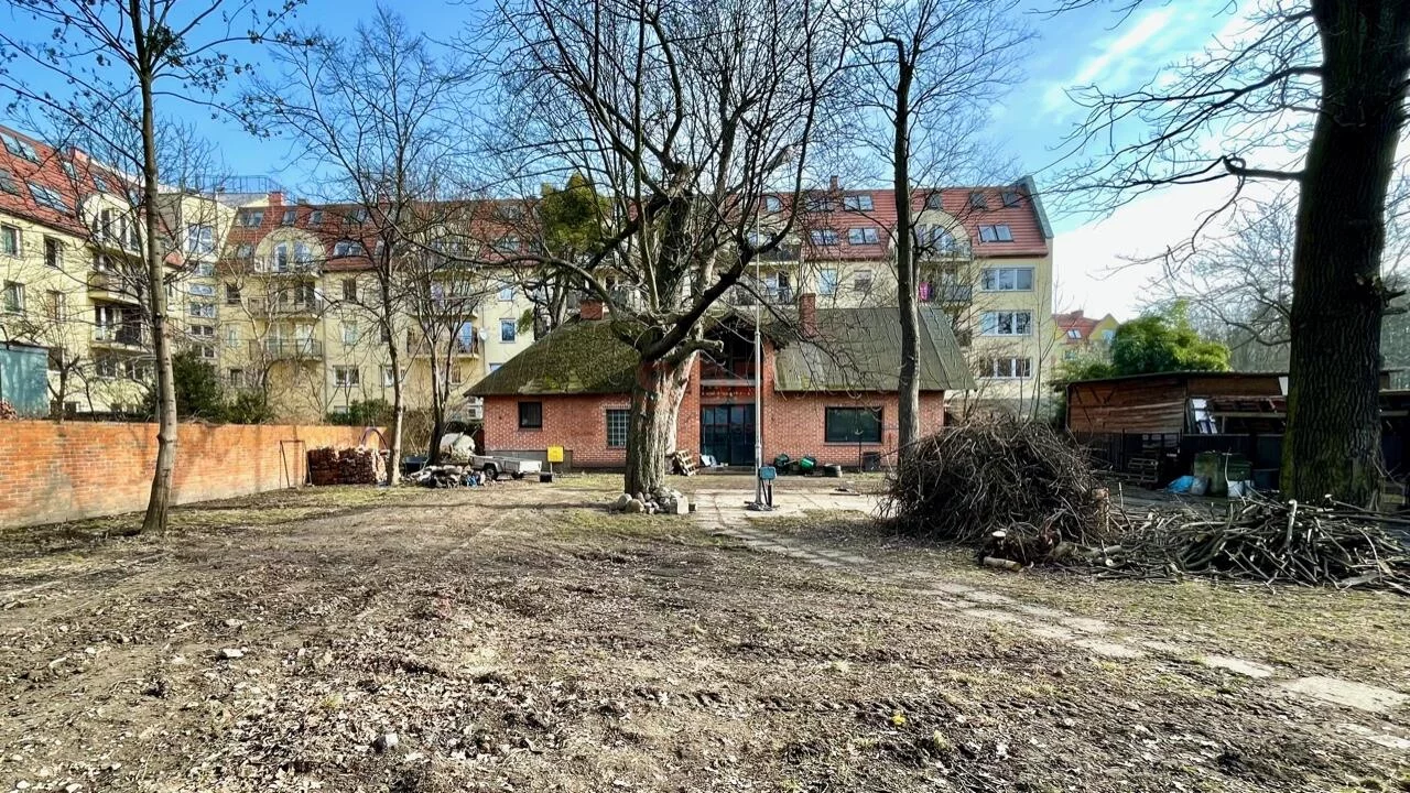 41591 - zdjęcie nr 0