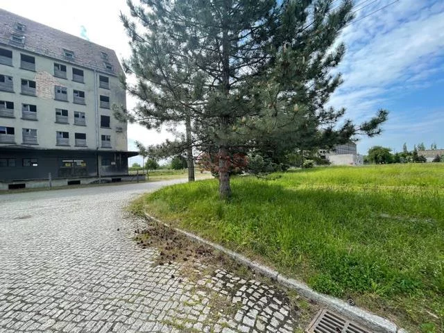 Lokal użytkowy 20 000,00 m², oferta nr , 23715, Świdnica