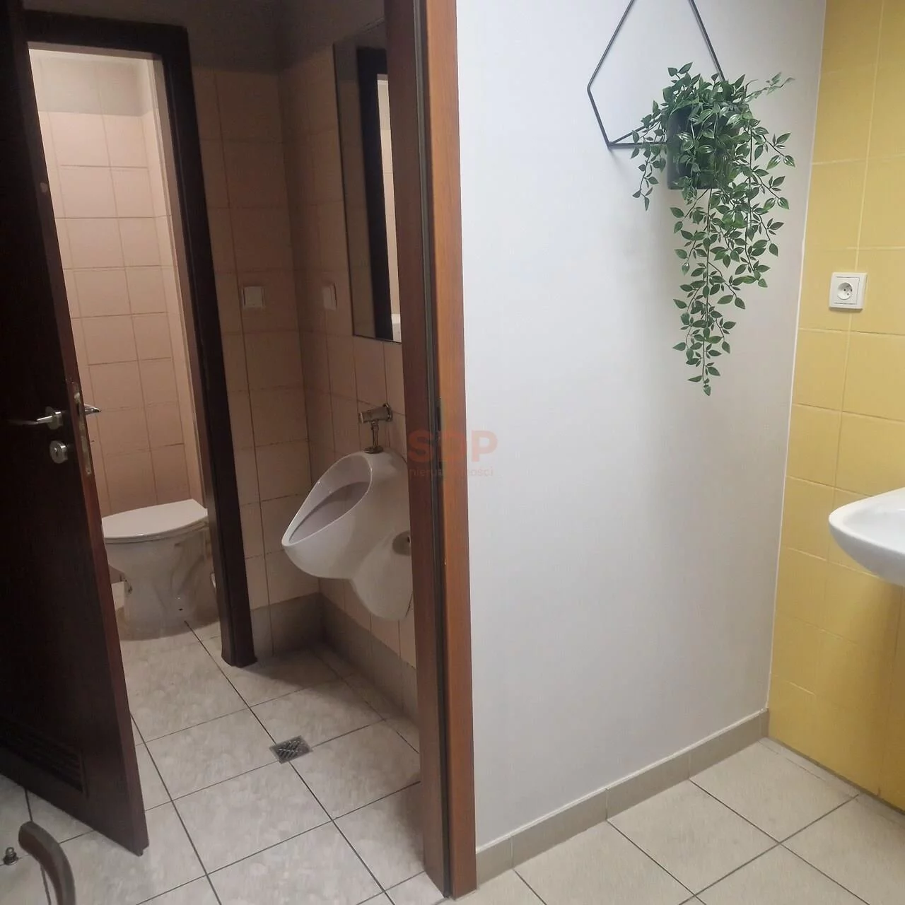 Biuro 258,00 m², oferta nr , 39763, Wrocław, Stare Miasto, Tęczowa