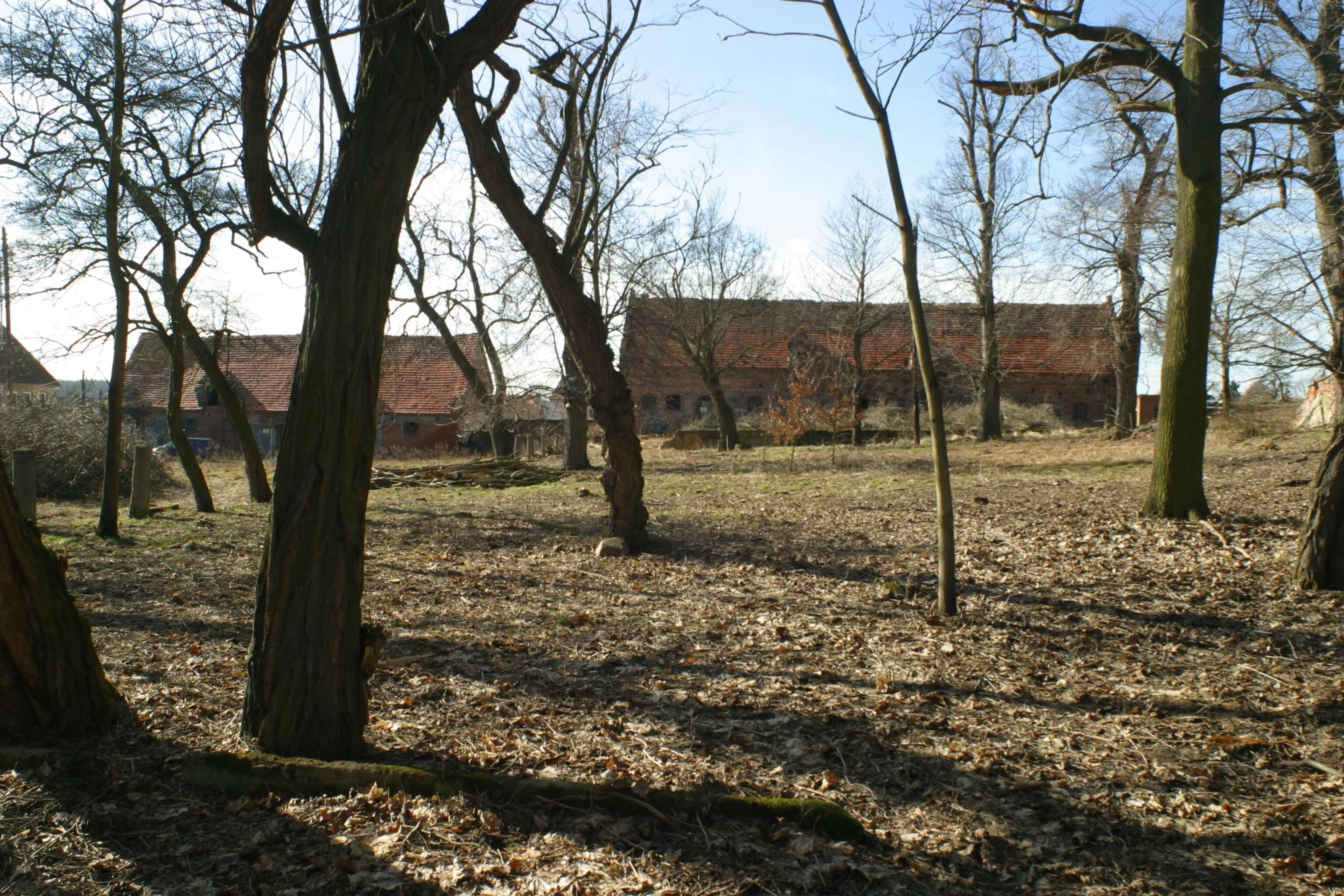 34359 - zdjęcie nr 2