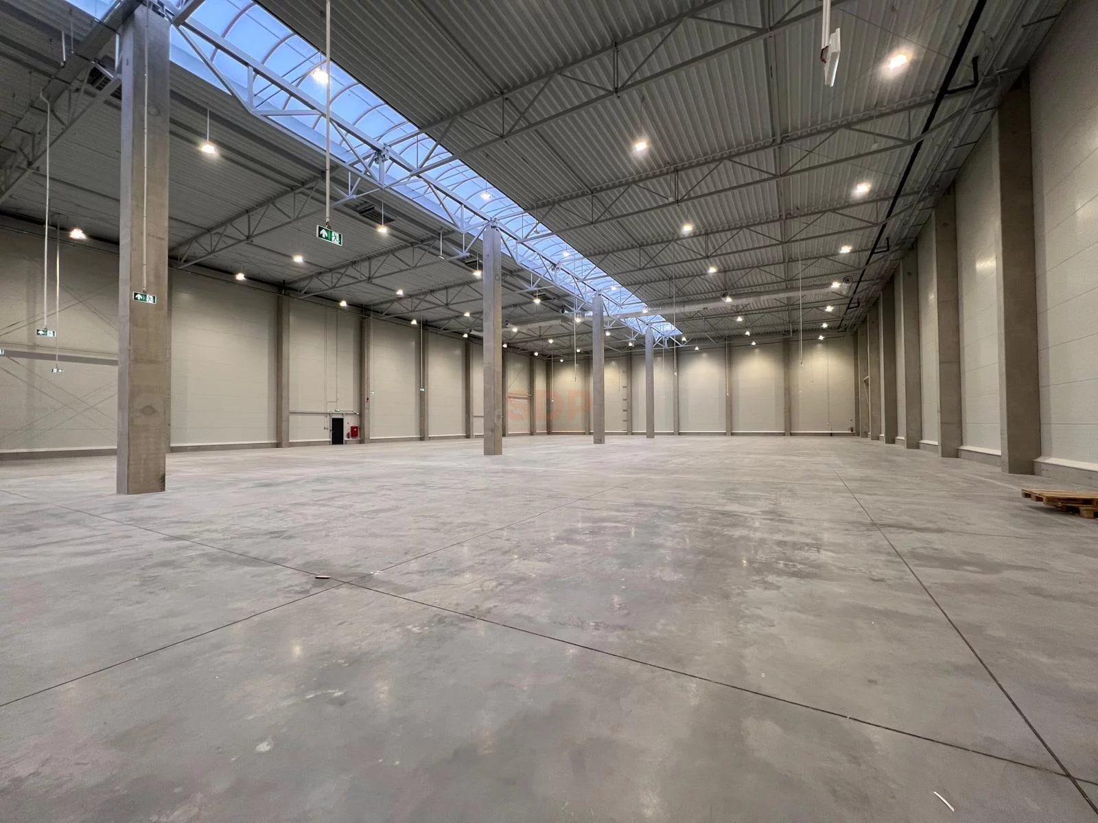 Magazyn 1 800,00 m², oferta nr , 38902, Domasław