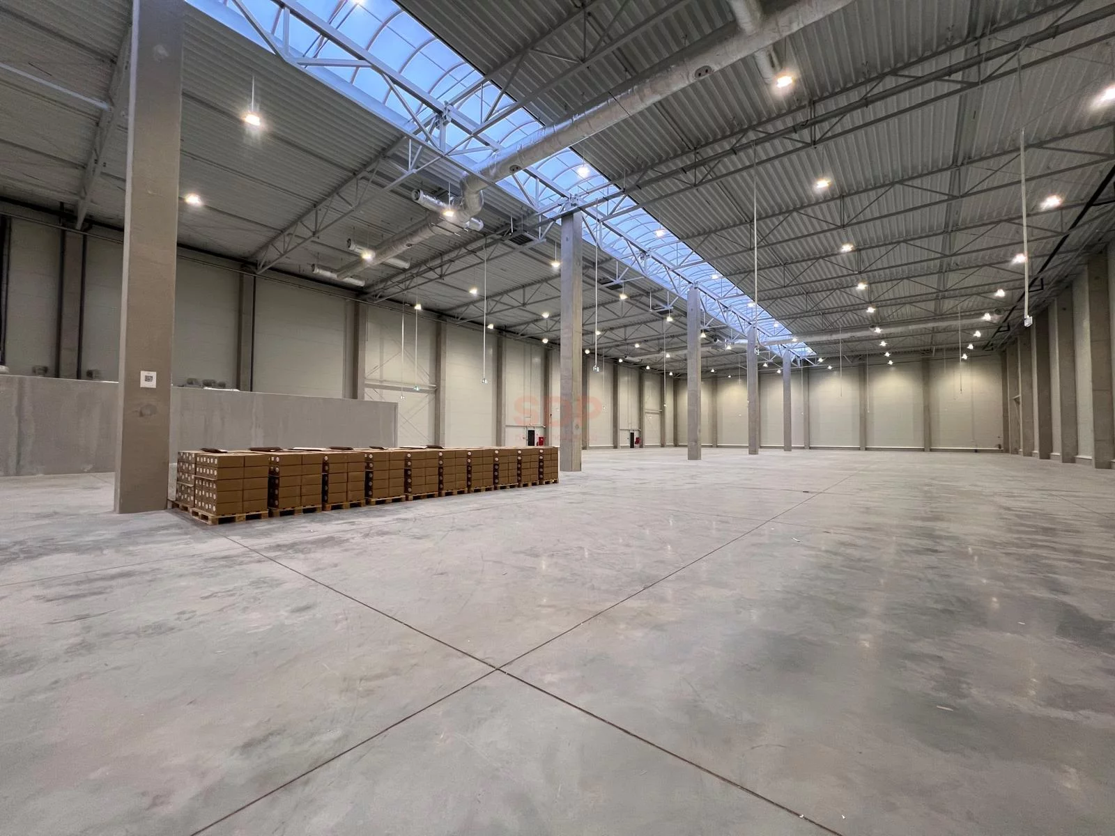 Magazyn 1 800,00 m², oferta nr , 42801, Domasław