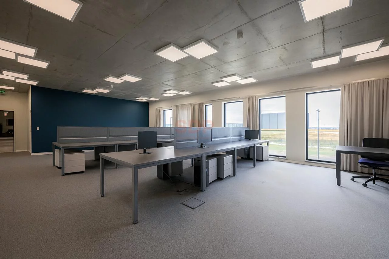 Magazyn 3 302,30 m², oferta nr , 42495, Krępice, Kwiatowa