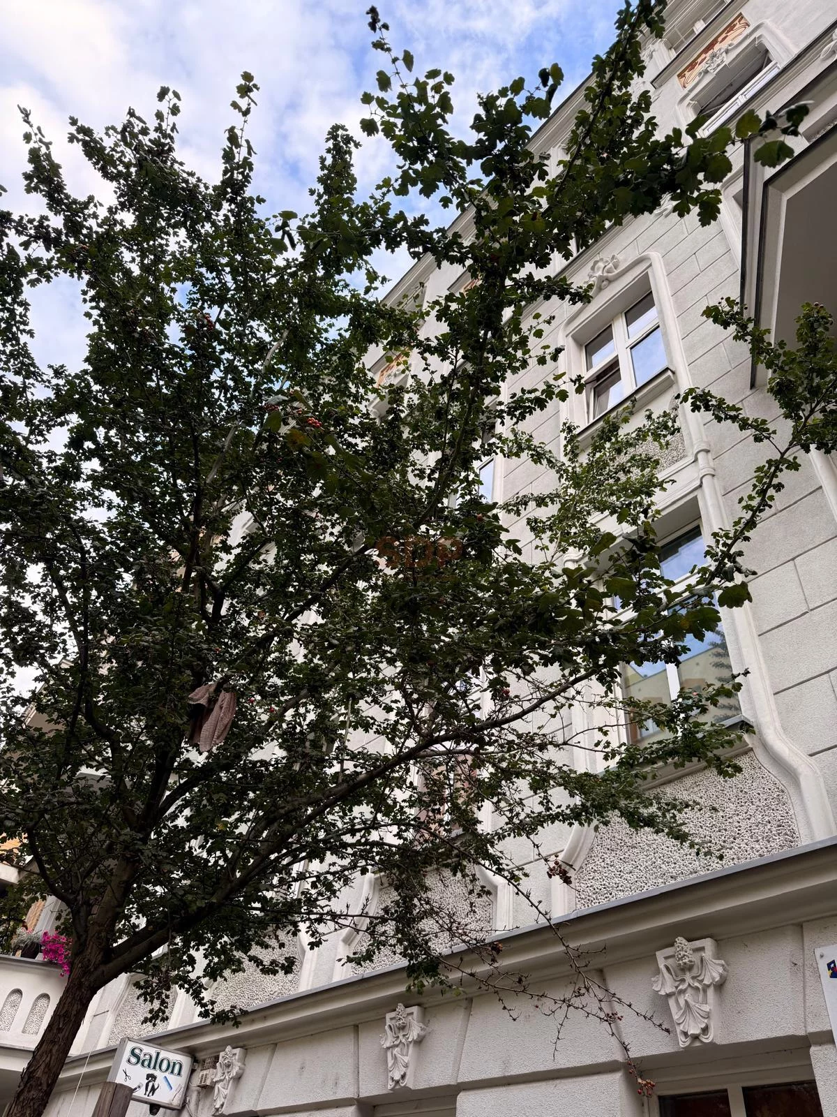 42453 - zdjęcie nr 4
