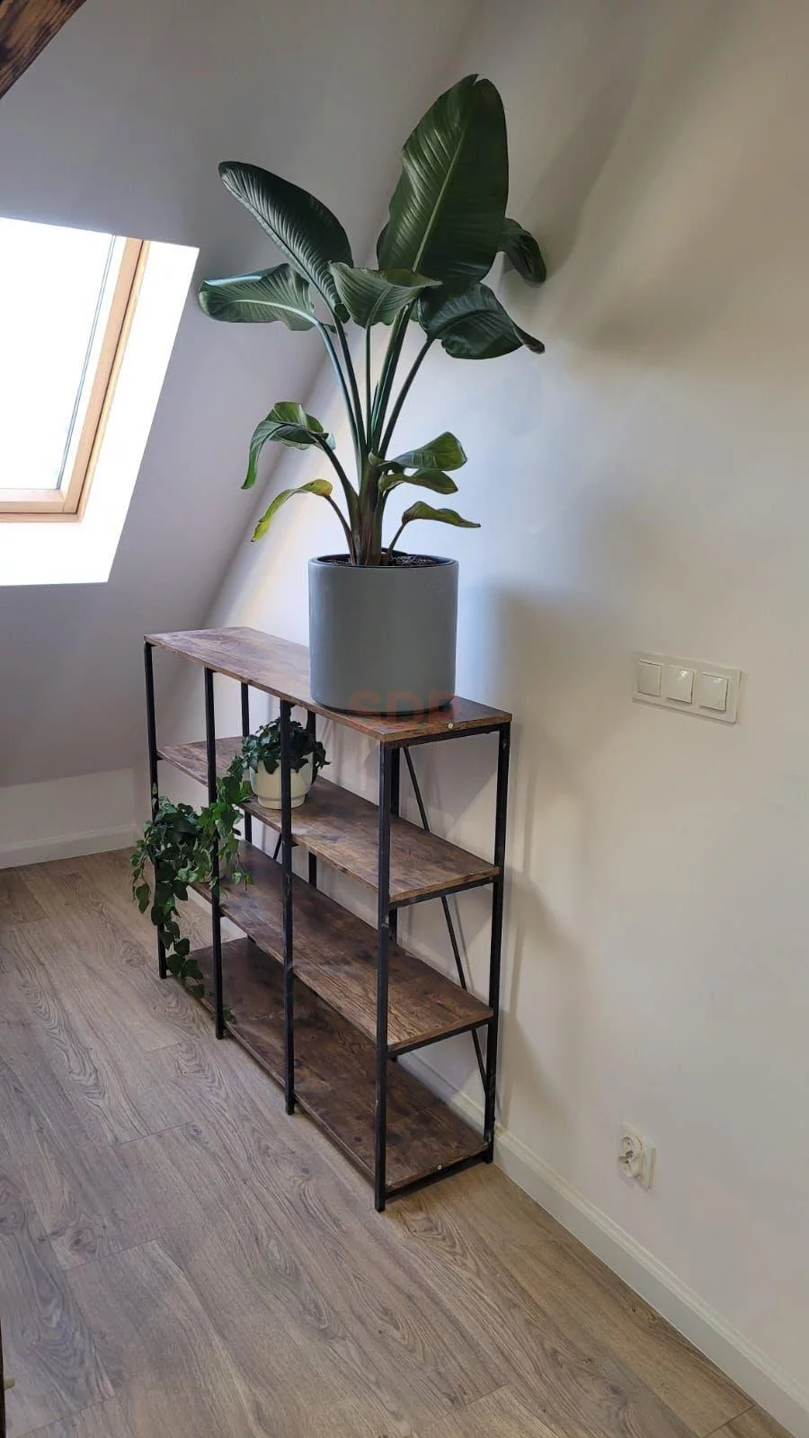 1 pokój, mieszkanie 41,90 m², piętro 4, oferta nr , 38931, Wrocław, Biskupin-Sępolno-Dąbie-Bartoszowice, Śródmieście, Kaszubska