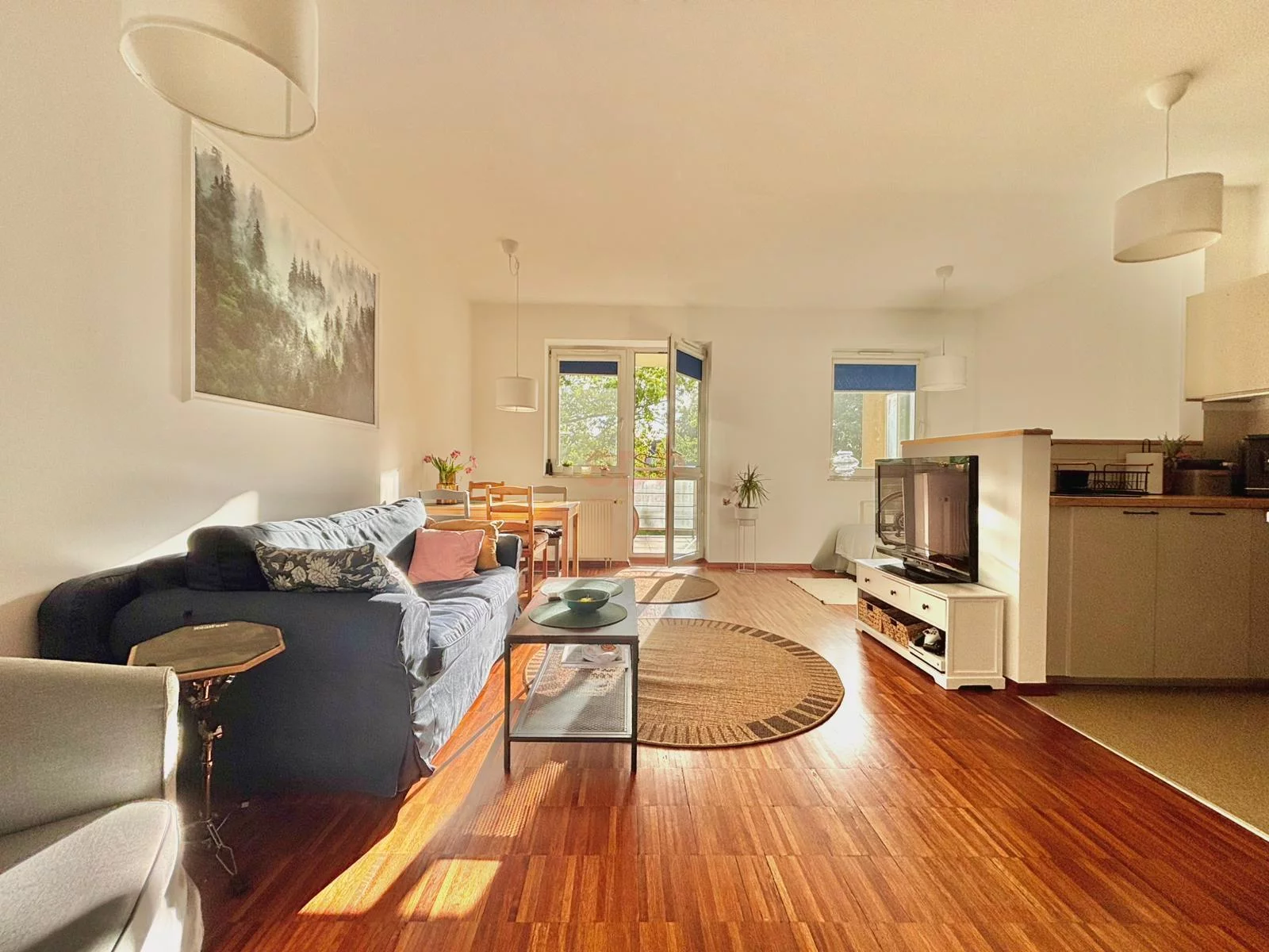 Apartamenty 41666 Łódź Bałuty Lniana