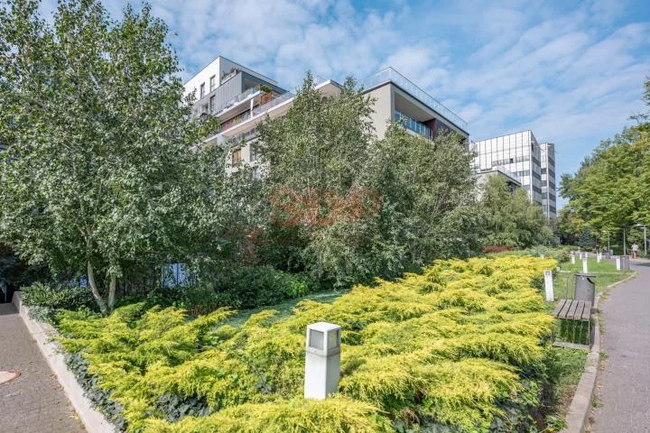 1 pokój, mieszkanie 34,75 m², piętro 1, oferta nr , 37155, Wrocław, Stare Miasto, Walońska