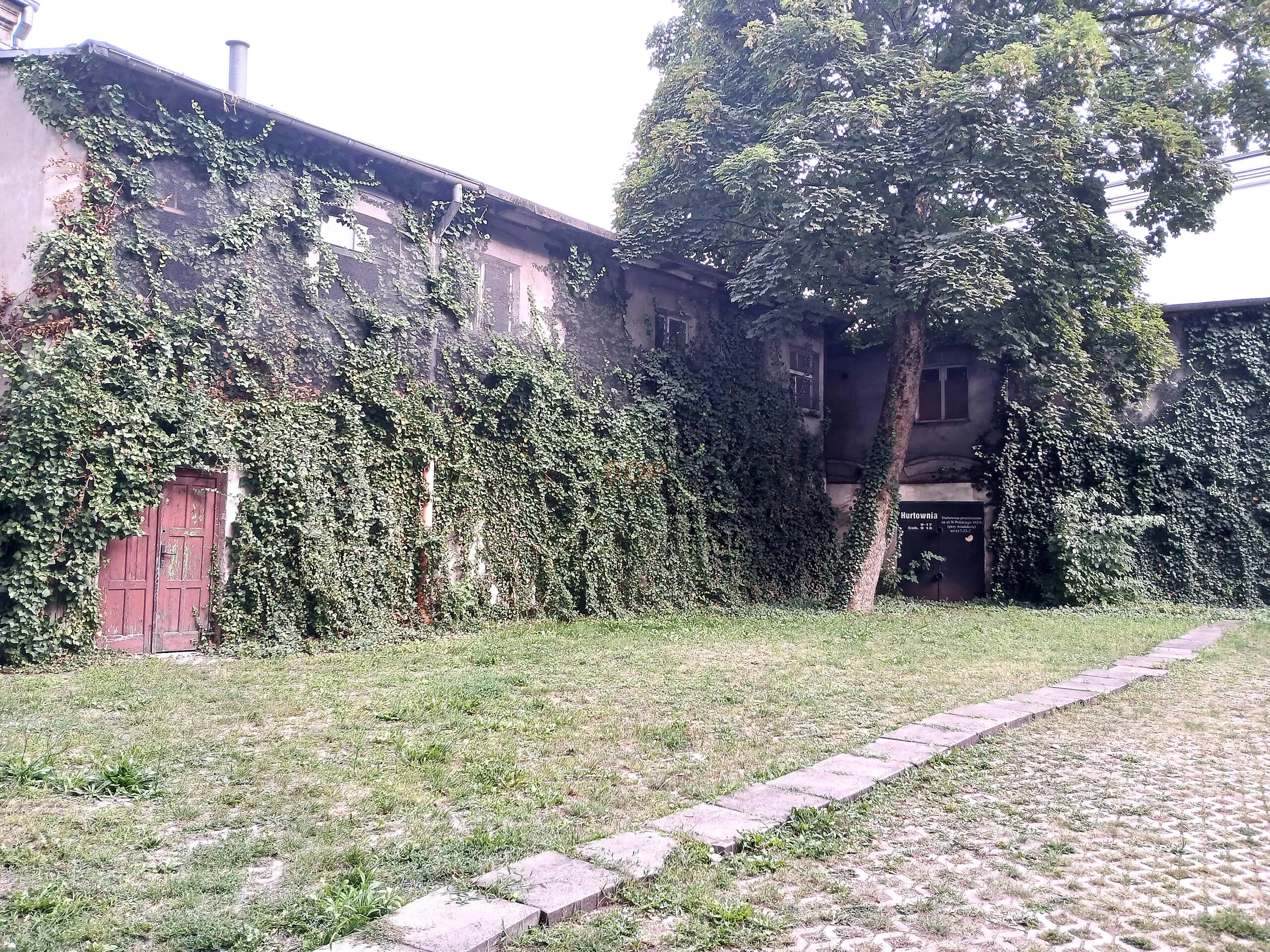 1 pokój, mieszkanie 25,85 m², piętro 1, oferta nr , 42397, Łódź, Polesie, Polesie, Więckowskiego