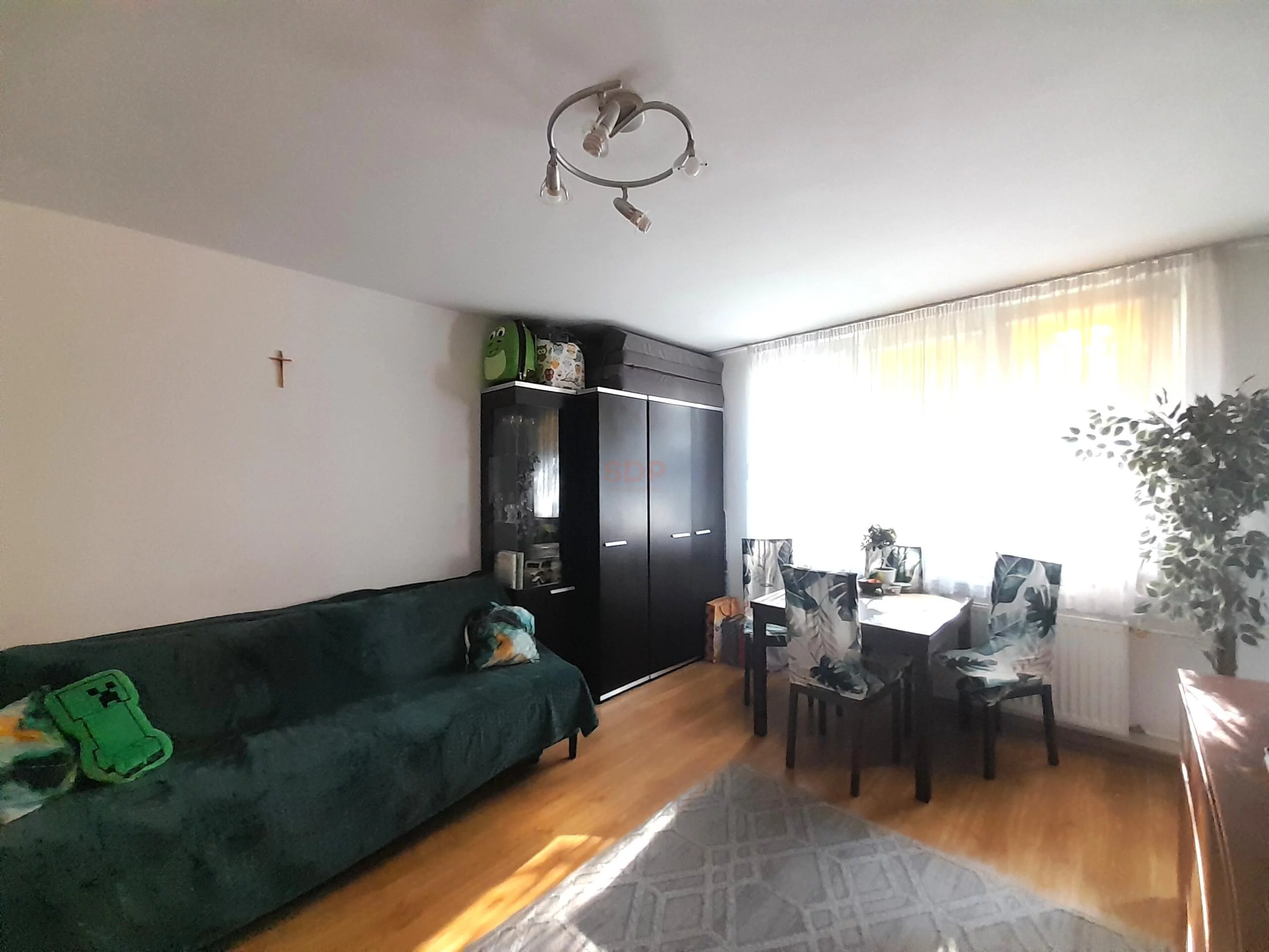 42113 - zdjęcie nr 0
