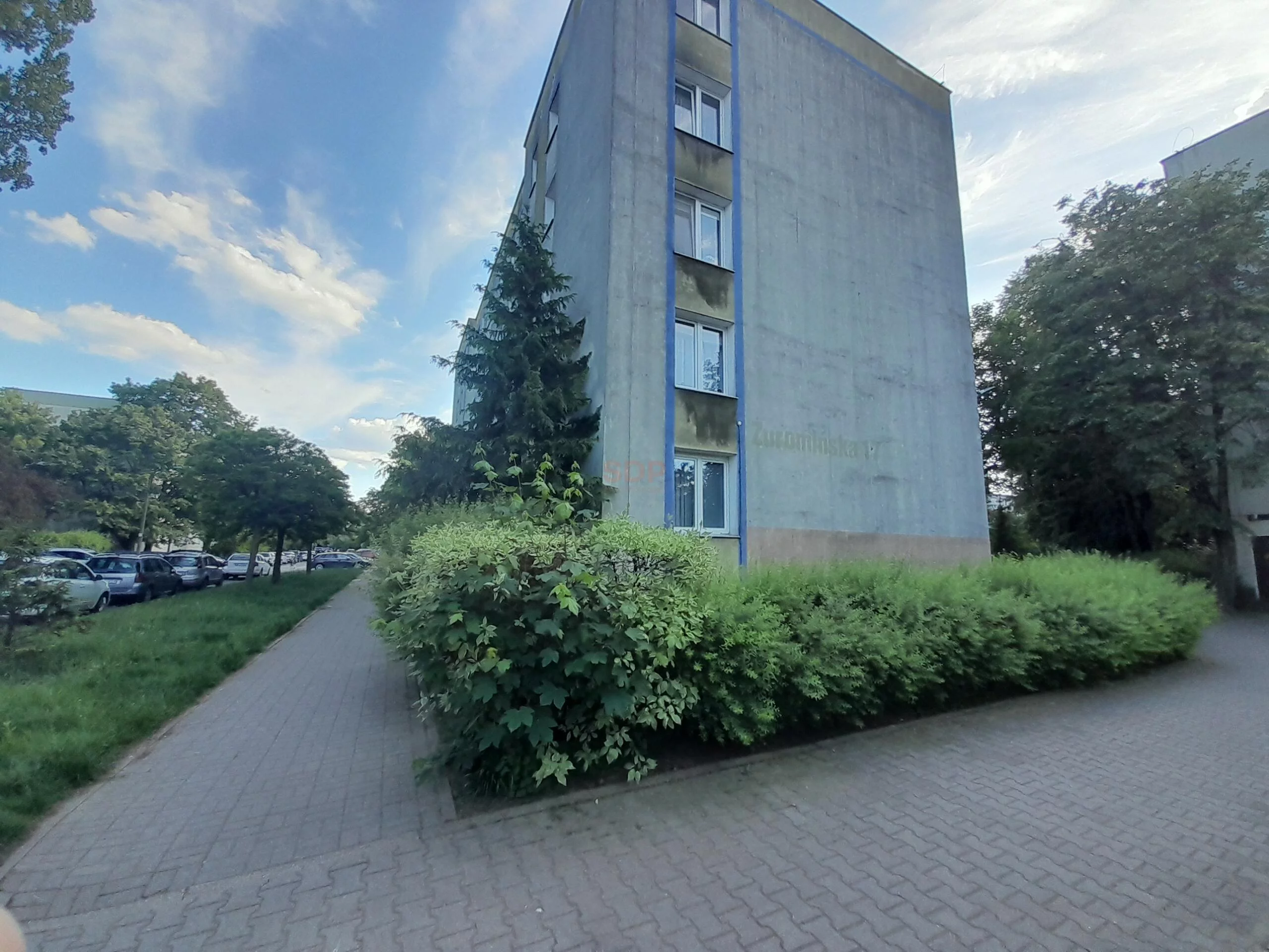 42113 - zdjęcie nr 3