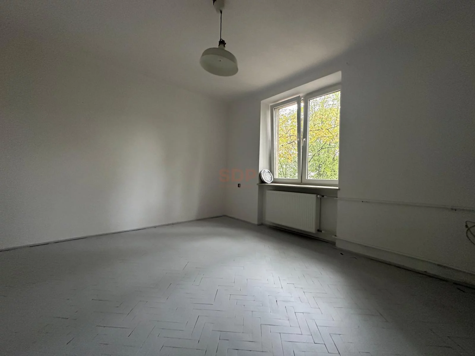40645 - zdjęcie nr 2