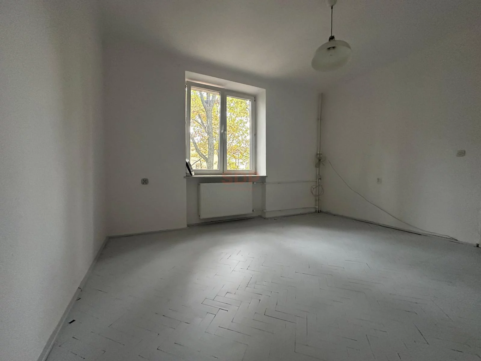 40645 - zdjęcie nr 4