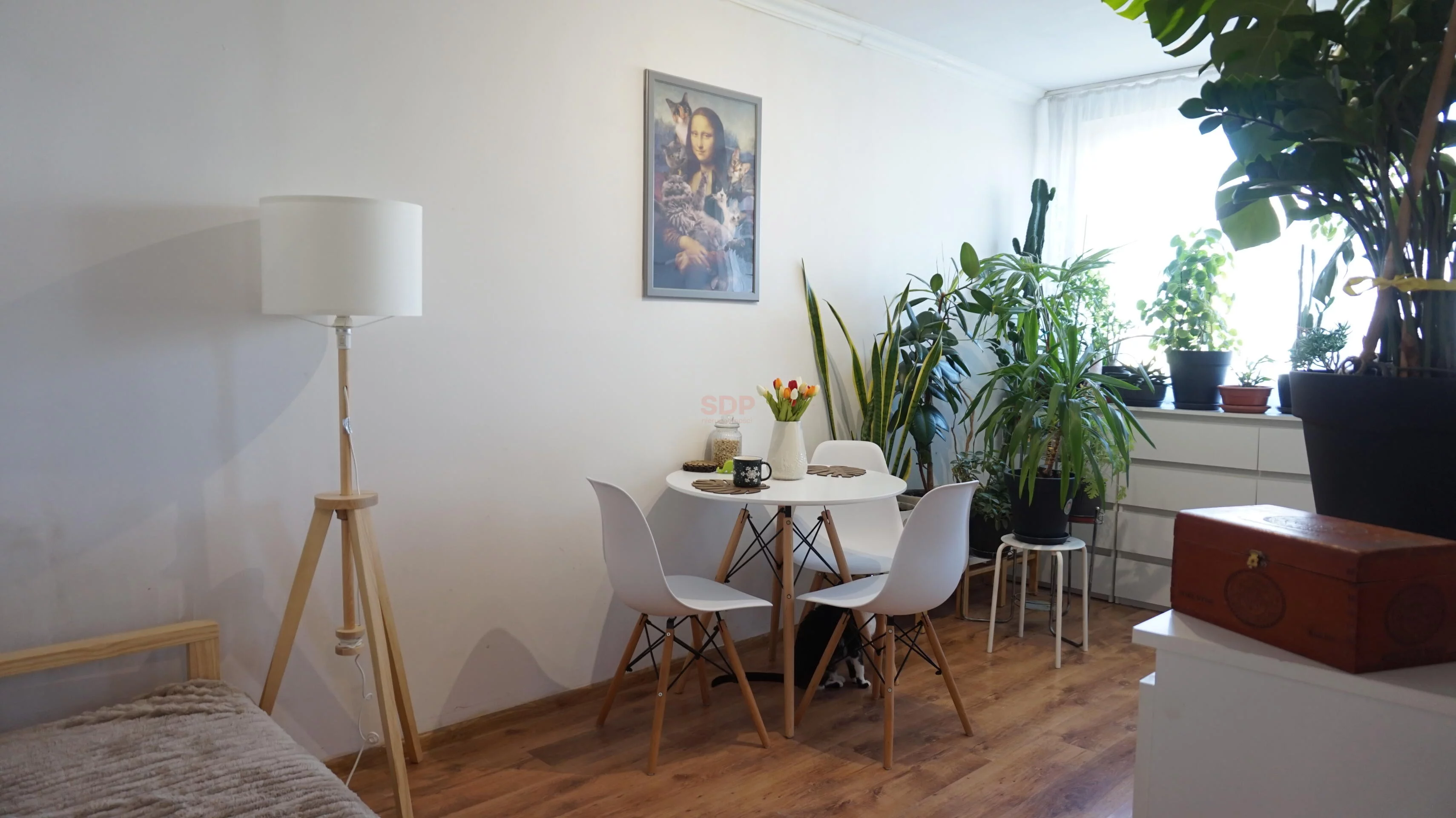 2 pokoje, mieszkanie 32,30 m², piętro 7, oferta nr , 42882, Wrocław, Fabryczna, Estońska