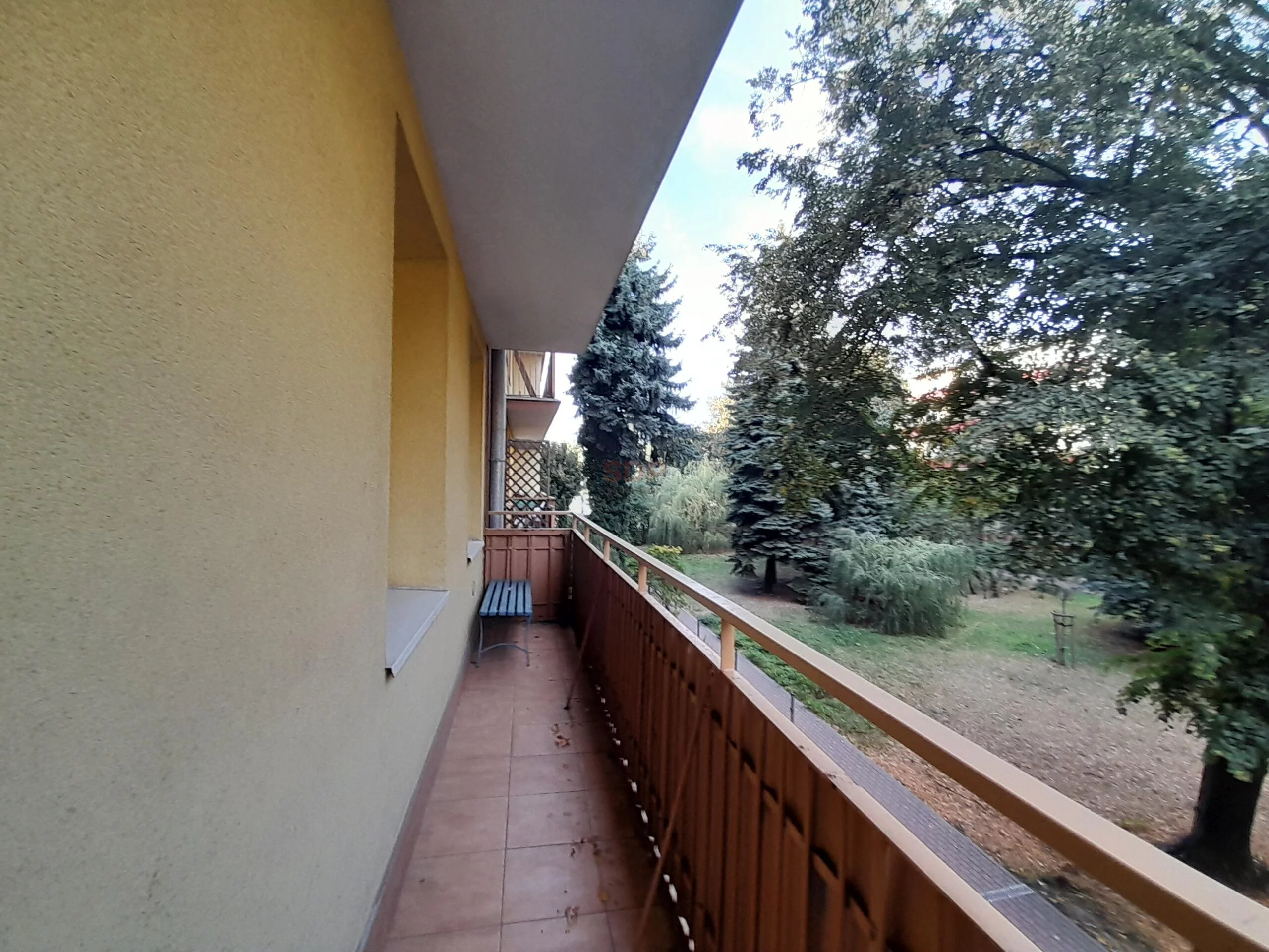 42402 - zdjęcie nr 3
