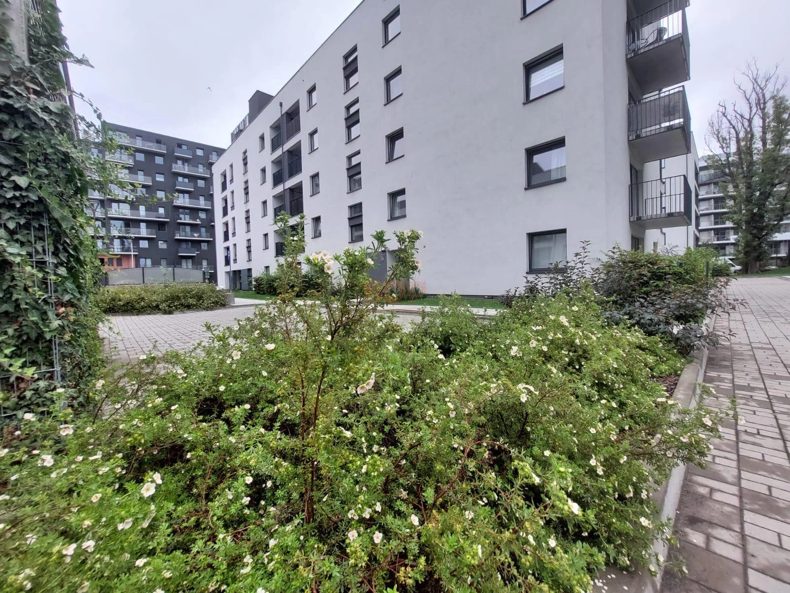 2 pokoje, apartament 37,93 m², piętro 3, oferta nr , 36813, Wrocław, Stare Miasto, Kępa Mieszczańska