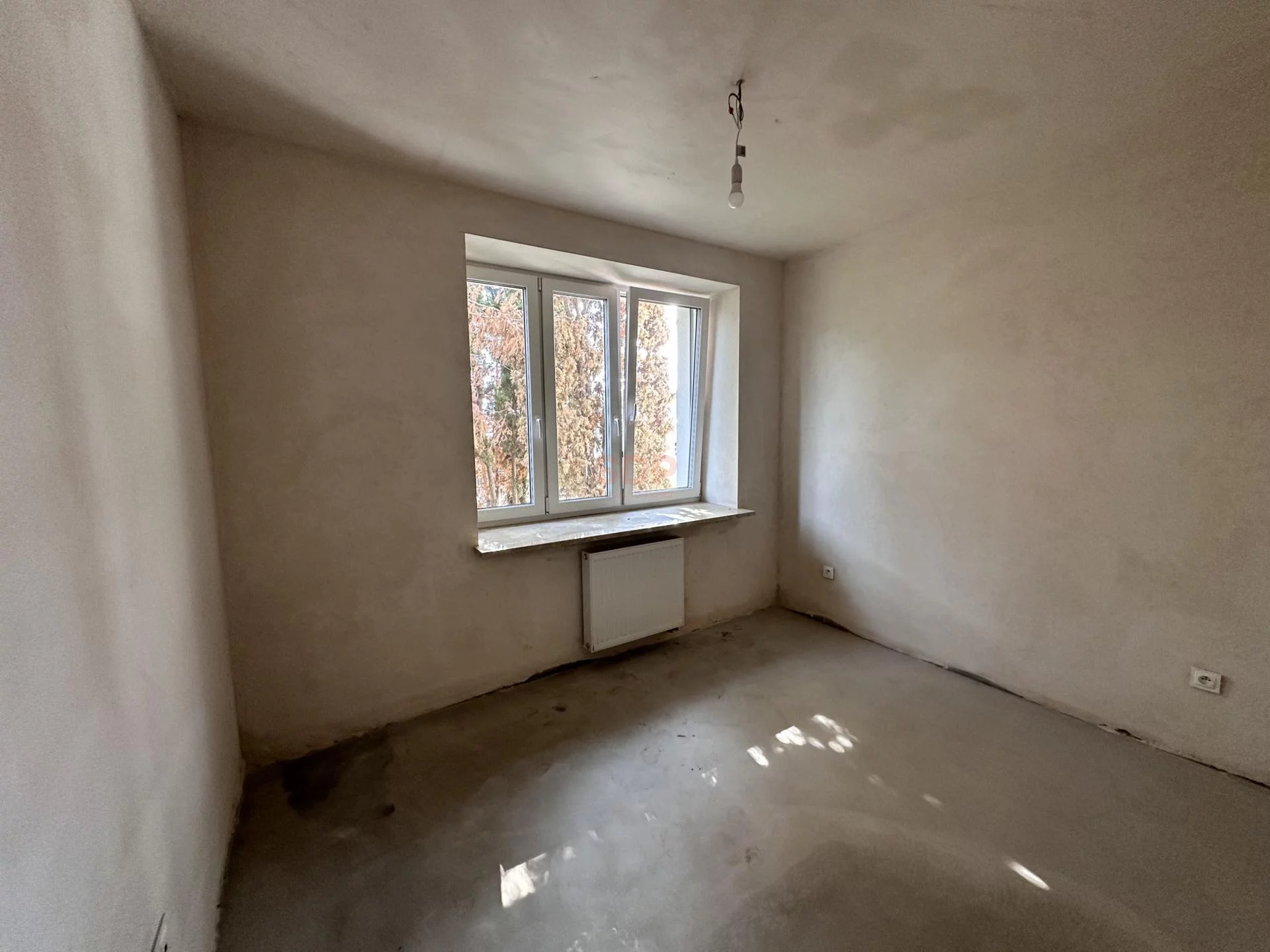 40723 - zdjęcie nr 1