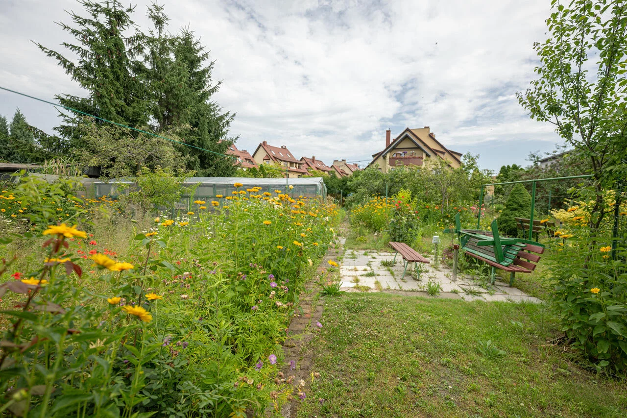 41822 - zdjęcie nr 4