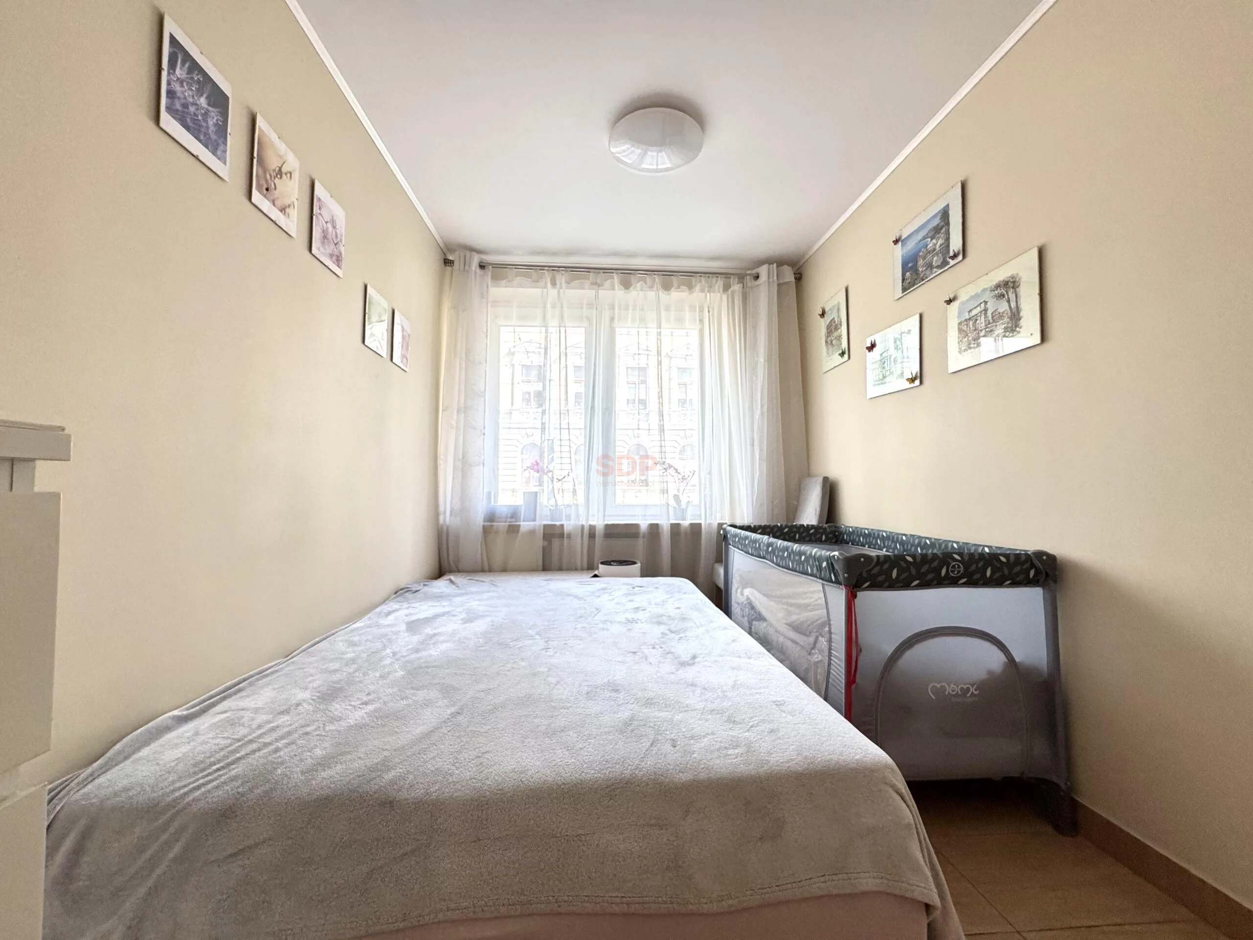 42455 - zdjęcie nr 1
