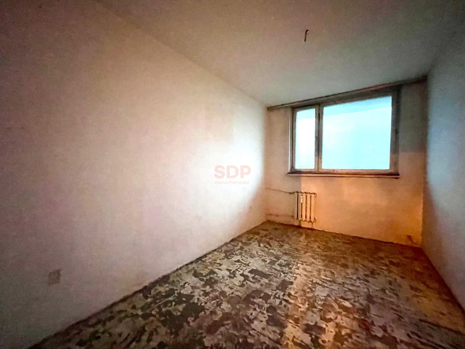 39754 - zdjęcie nr 3
