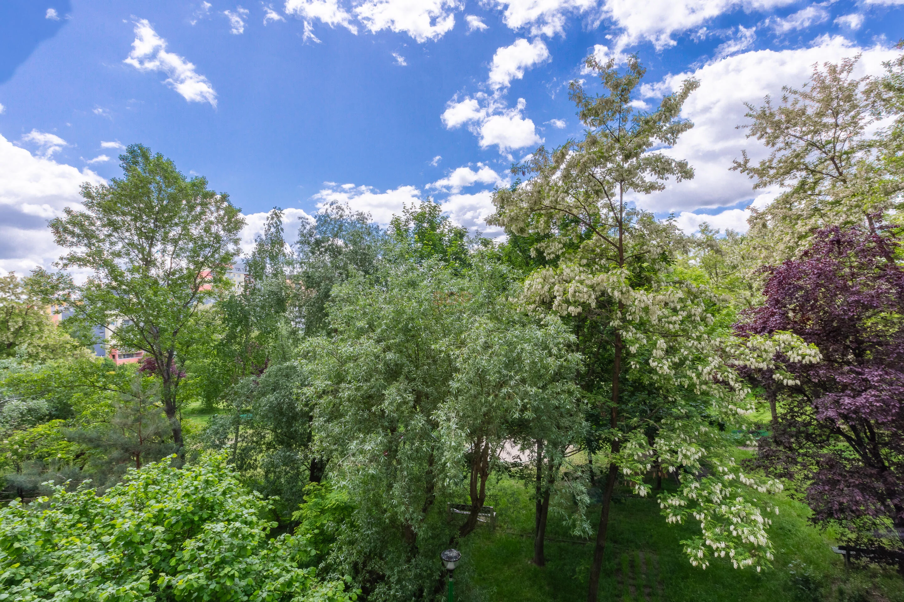 2 pokoje, mieszkanie 47,10 m², piętro 2, oferta nr , 39982, Wrocław, Fabryczna, Szybowcowa