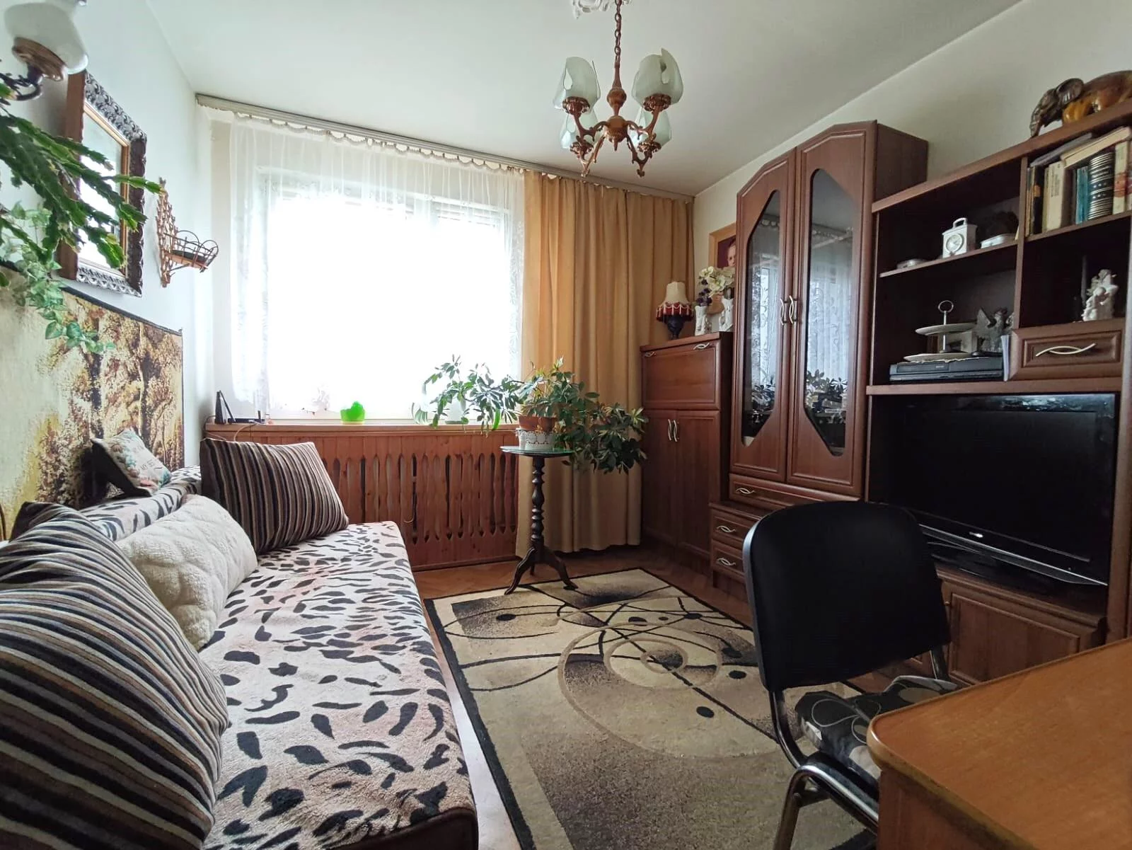 41594 - zdjęcie nr 2