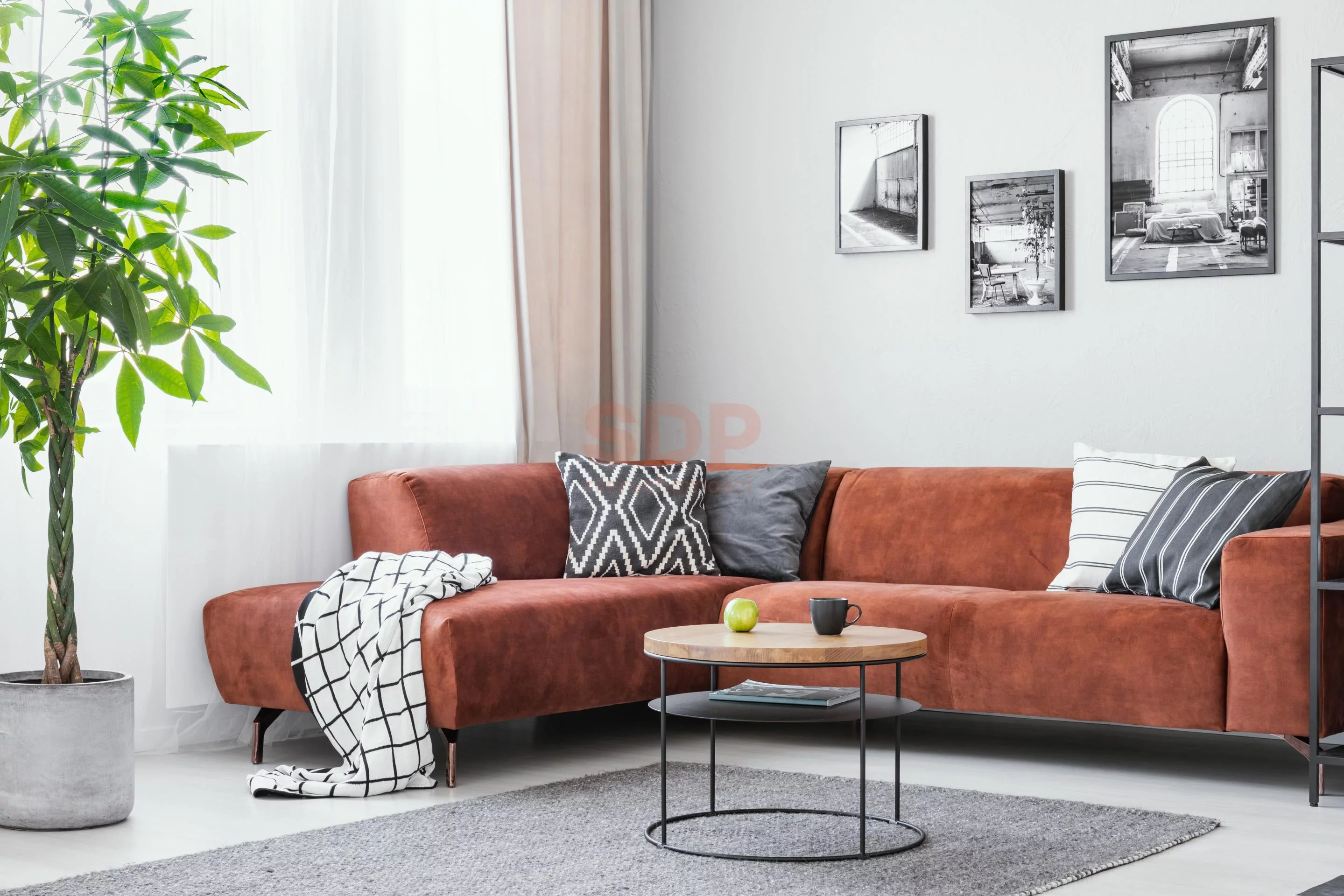 2 pokoje, mieszkanie 34,81 m², piętro 5, oferta nr , 37038, Wrocław, Biskupin-Sępolno-Dąbie-Bartoszowice, Śródmieście, Wybrzeże Conrada - Korzeniowskiego