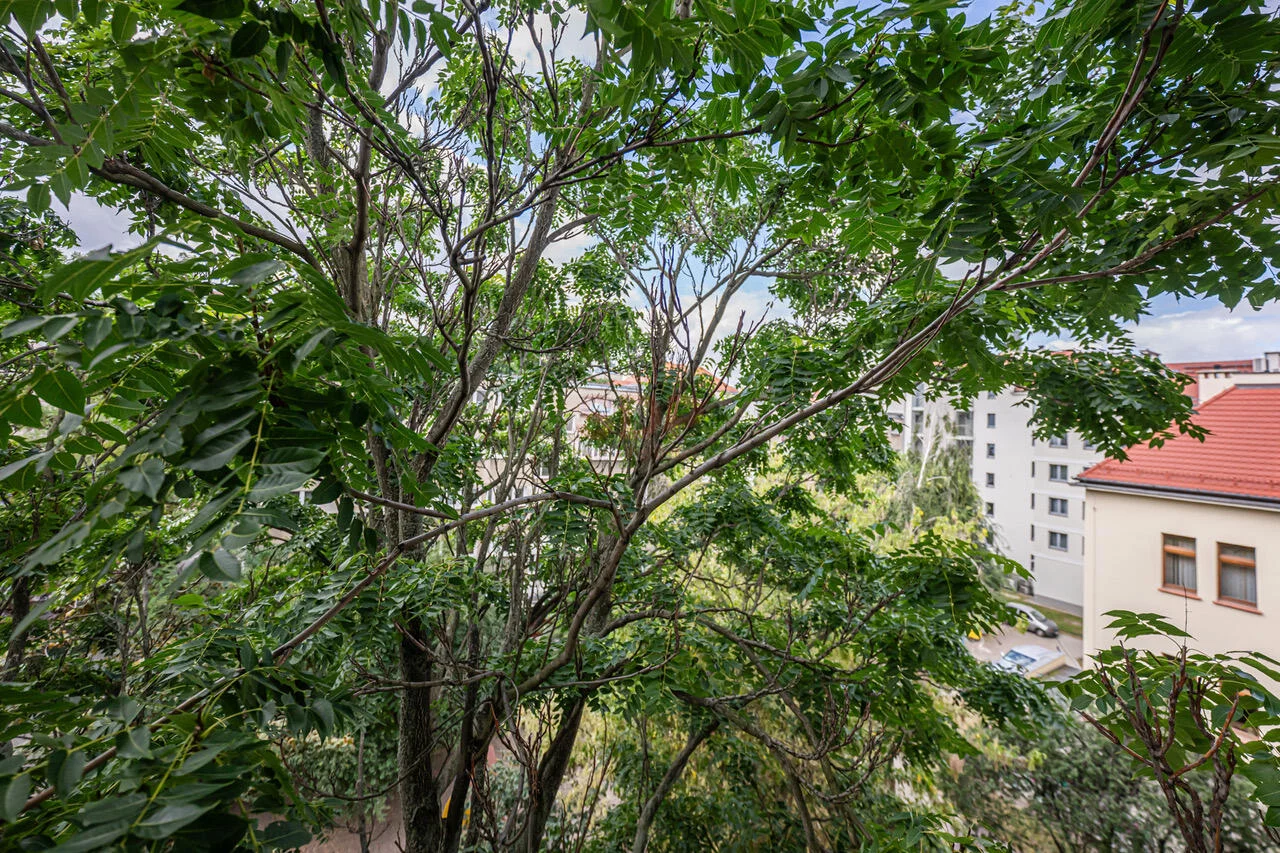 2 pokoje, mieszkanie 34,56 m², piętro 4, oferta nr , 42348, Wrocław, Stare Miasto, Nożownicza