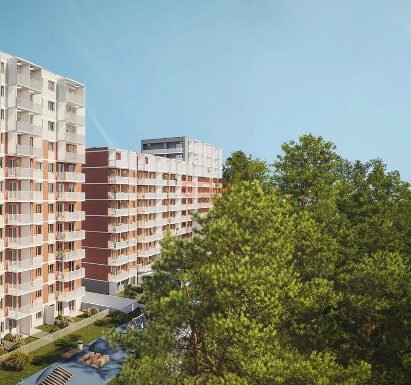 41915 - zdjęcie nr 3