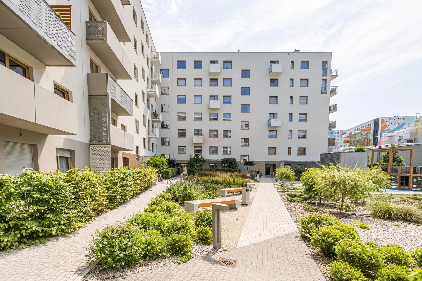 42381 - zdjęcie nr 2