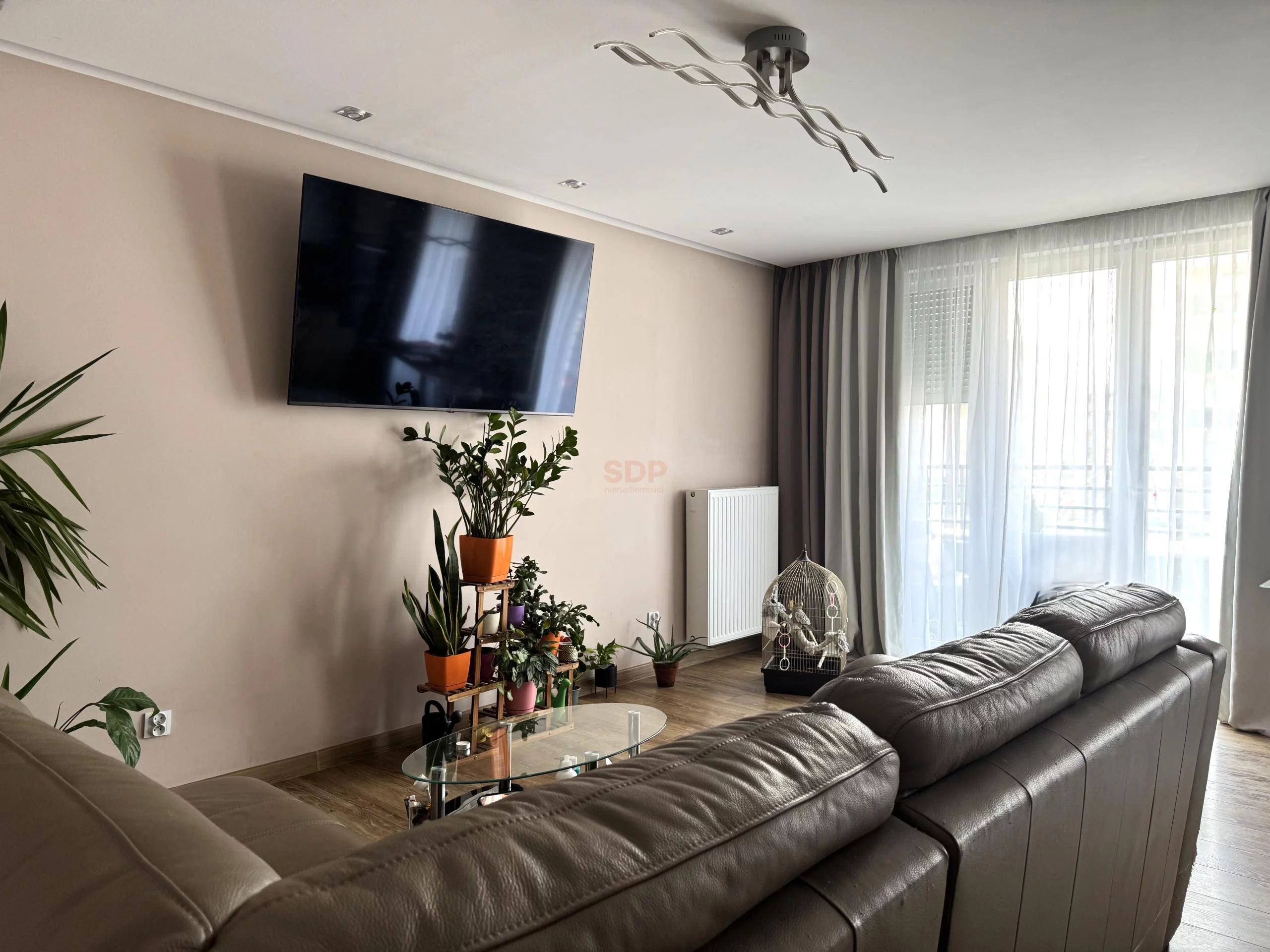 39564 - zdjęcie nr 1