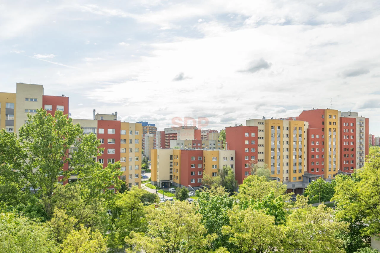 39877 - zdjęcie nr 2
