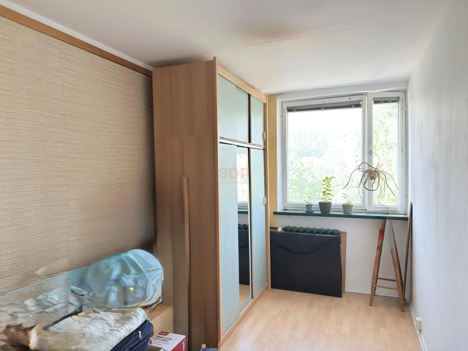 40625 - zdjęcie nr 2
