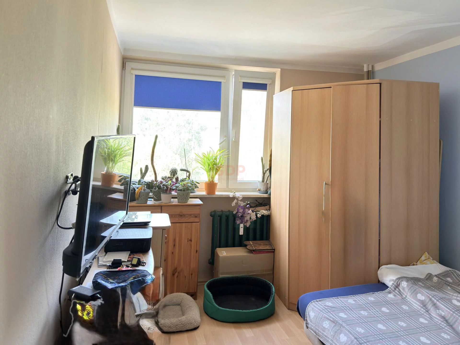 40625 - zdjęcie nr 3