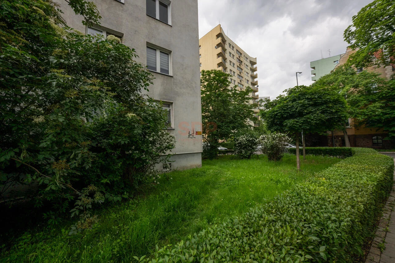 41629 - zdjęcie nr 4