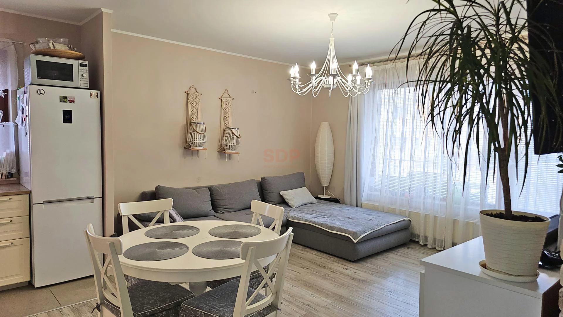 40096 - zdjęcie nr 2