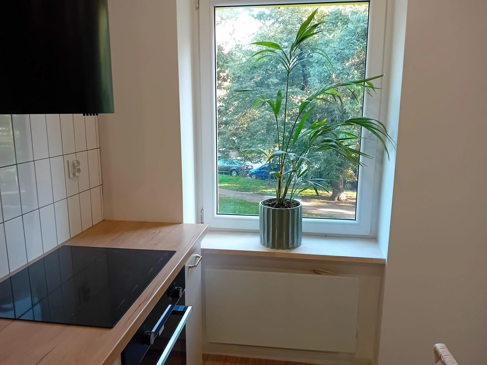 3 pokoje, apartament 56,00 m², piętro 2, oferta nr , 37958, Wrocław, Biskupin-Sępolno-Dąbie-Bartoszowice, Śródmieście, Kaszubska