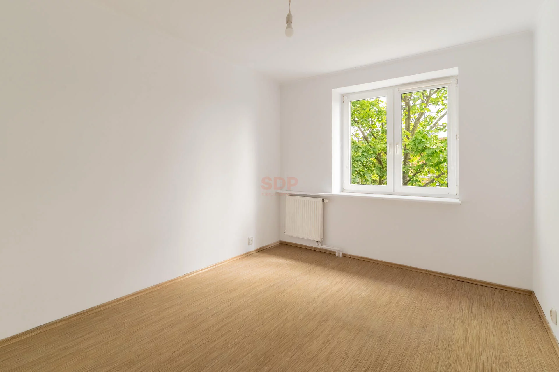 39874 - zdjęcie nr 3
