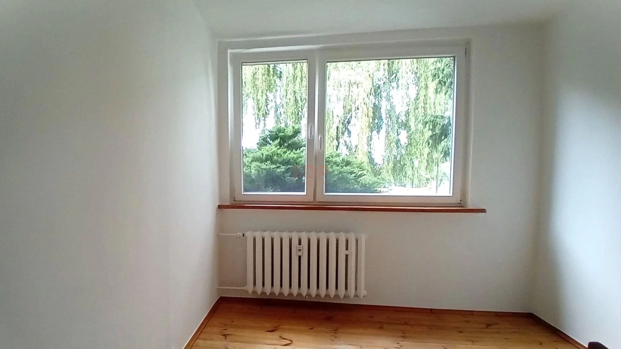 41738 - zdjęcie nr 2