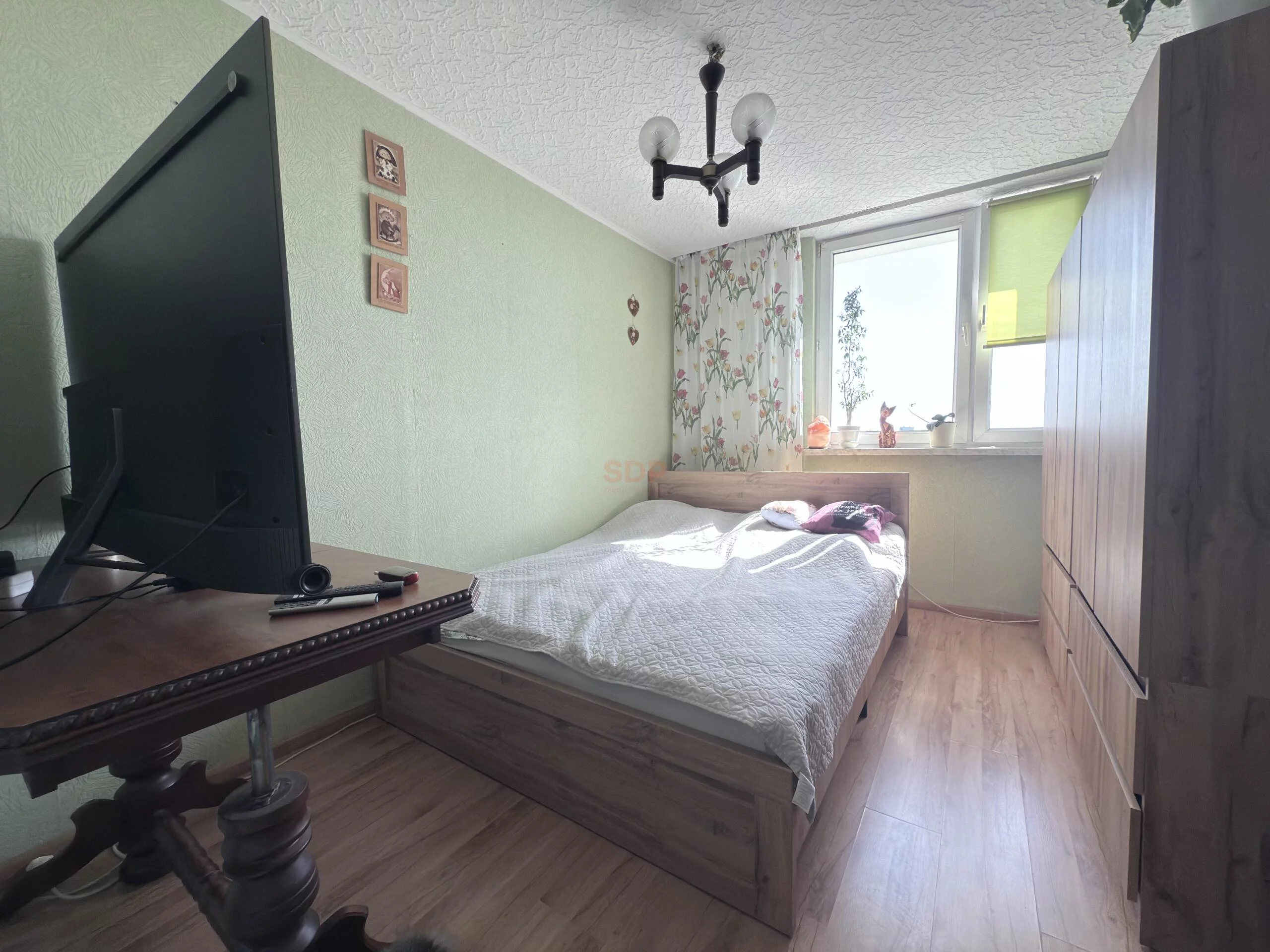 42344 - zdjęcie nr 3