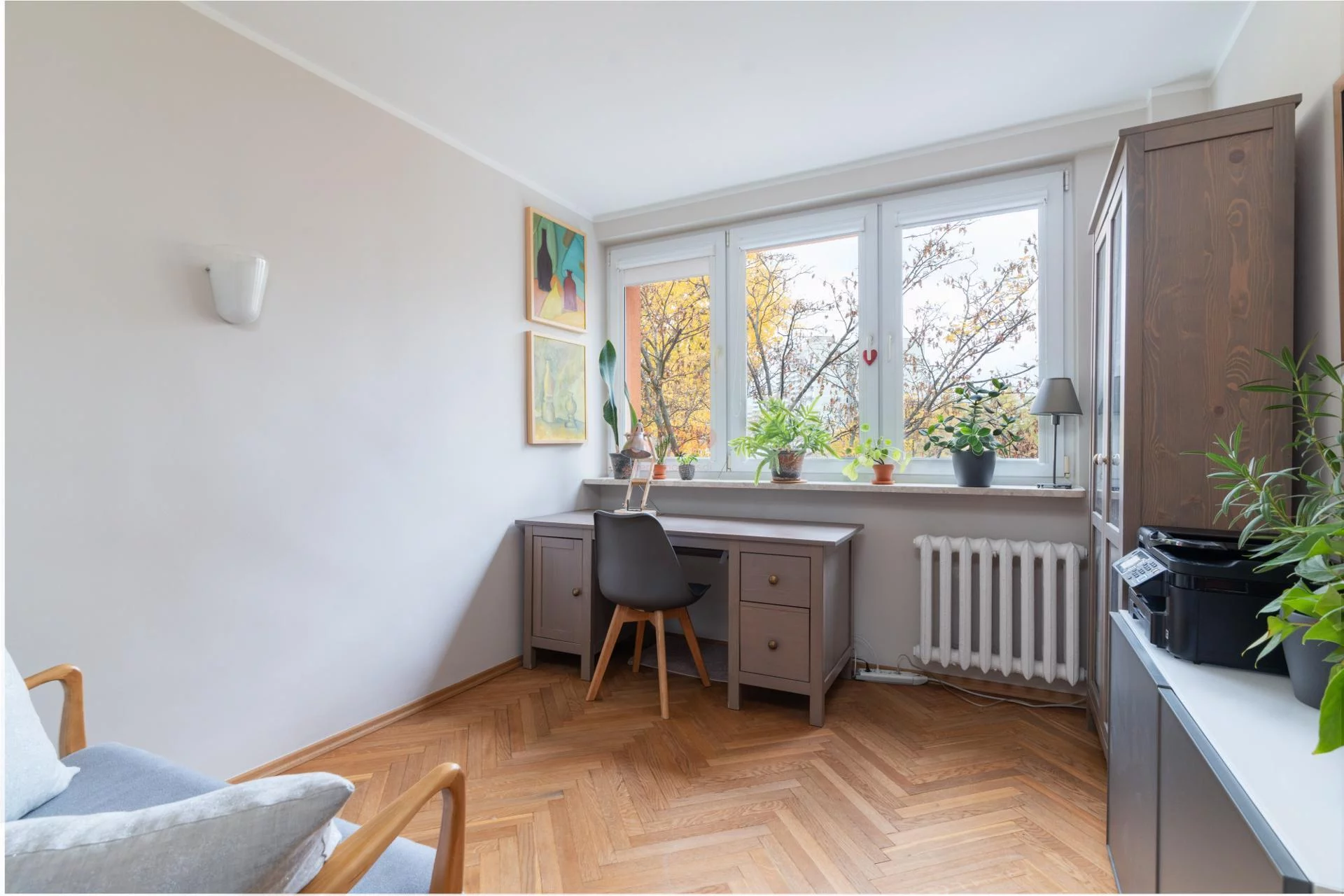 40705 - zdjęcie nr 3
