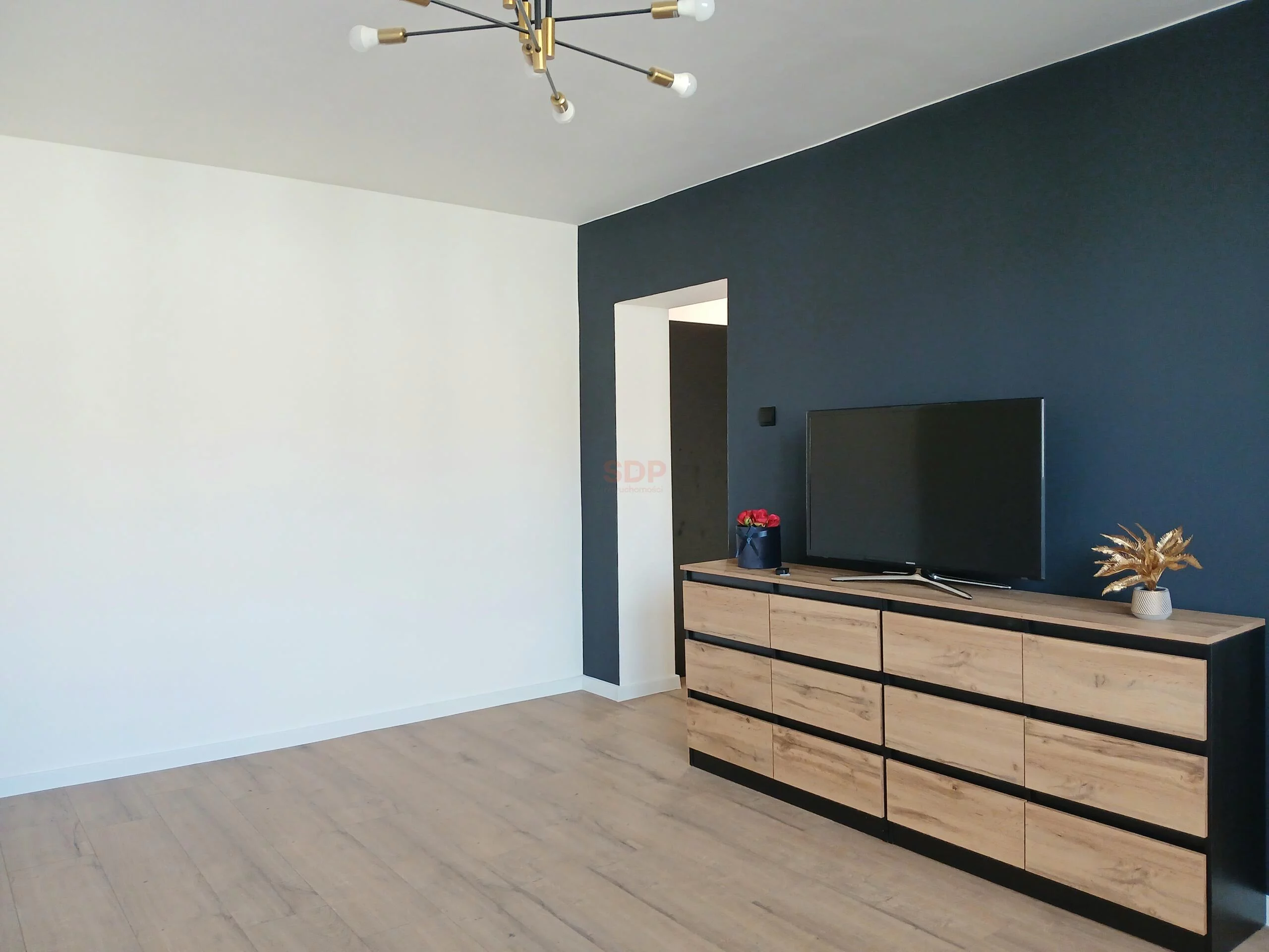 39902 - zdjęcie nr 0