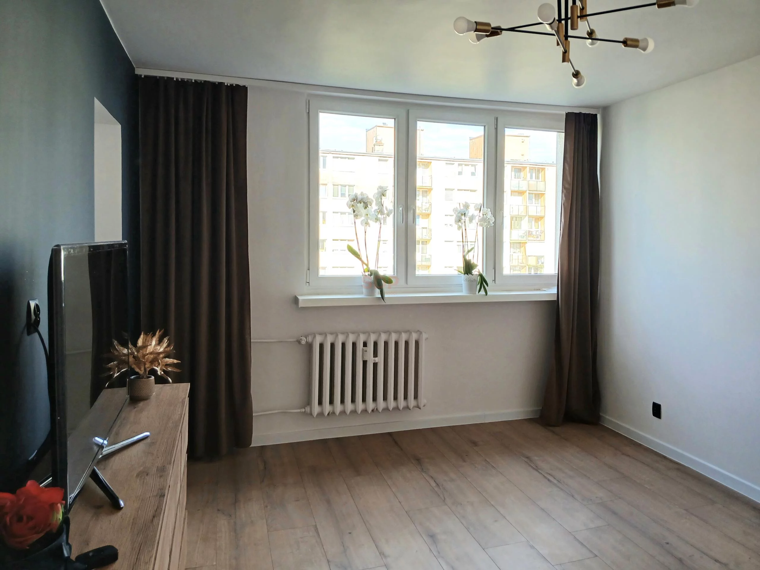 39902 - zdjęcie nr 1