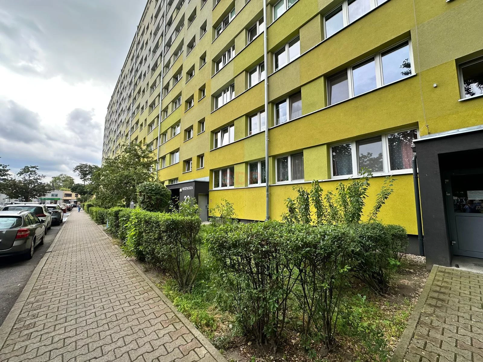41982 - zdjęcie nr 3