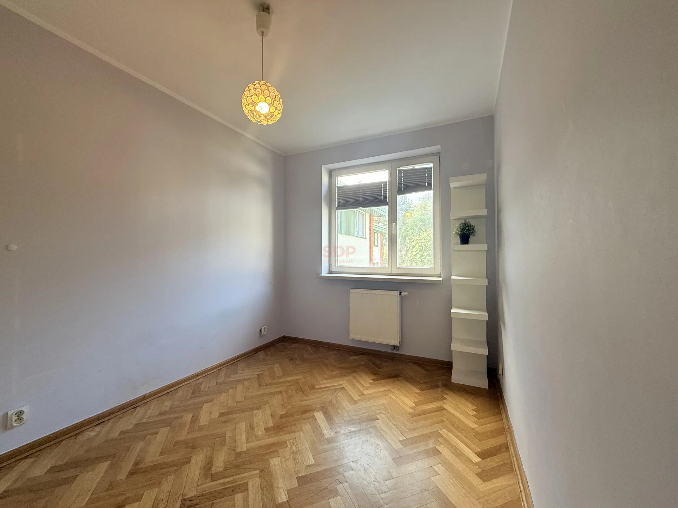 42282 - zdjęcie nr 3