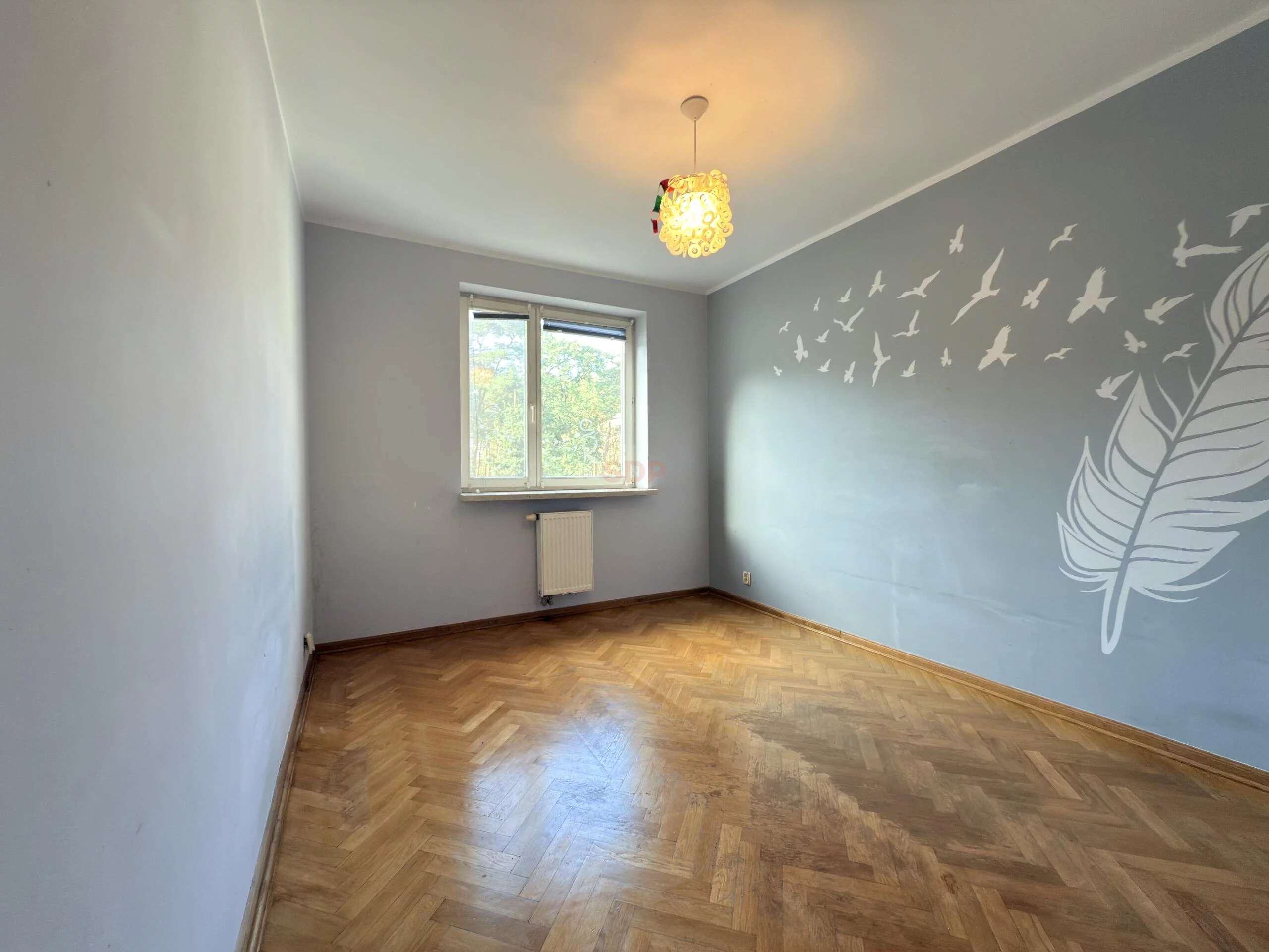 42282 - zdjęcie nr 4