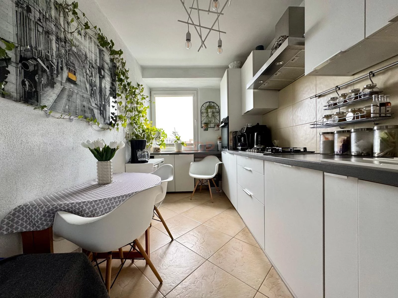 Apartamenty 39456 Łódź Śródmieście Piotrkowska
