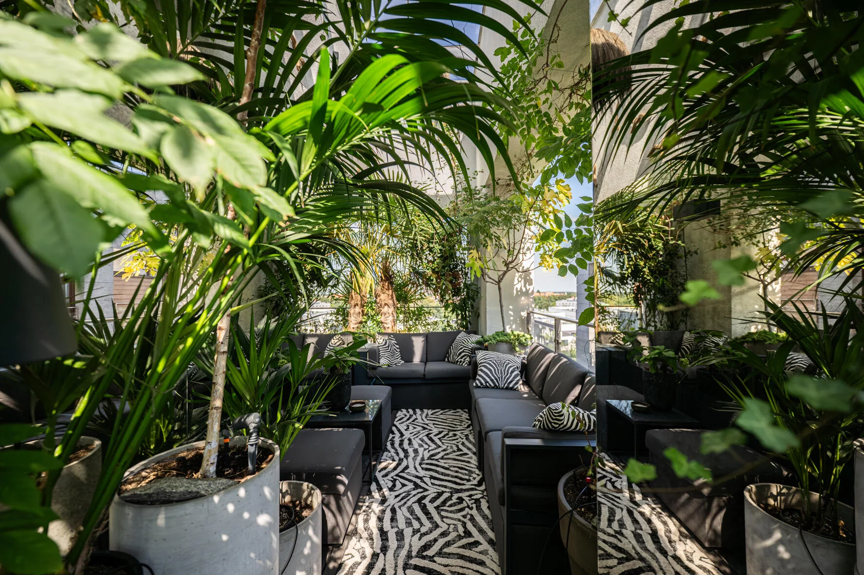 3 pokoje, apartament 133,00 m², piętro 9, oferta nr , 31284, Wrocław, Stare Miasto, Przedmieście Oławskie