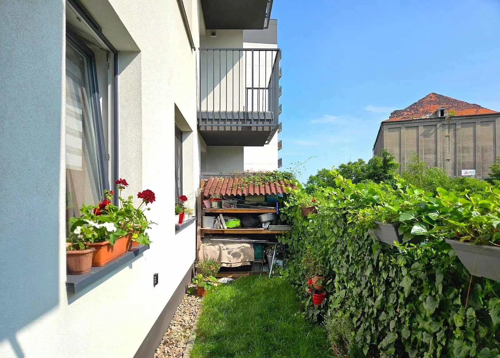 41719 - zdjęcie nr 4