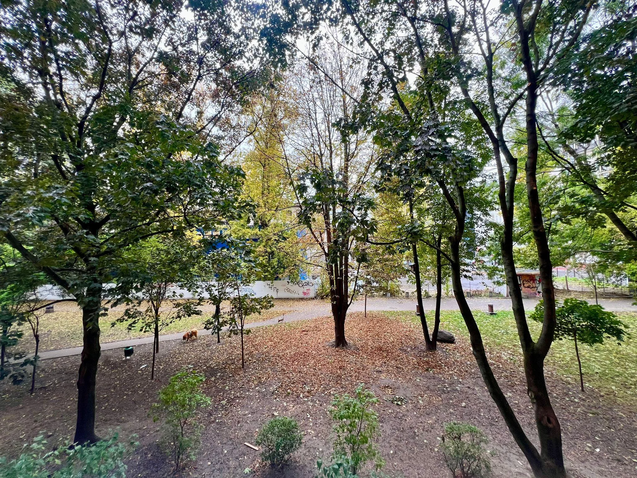 3 pokoje, mieszkanie 46,05 m², piętro 1, oferta nr , 42798, Warszawa, Śródmieście, Śródmieście, Sienna