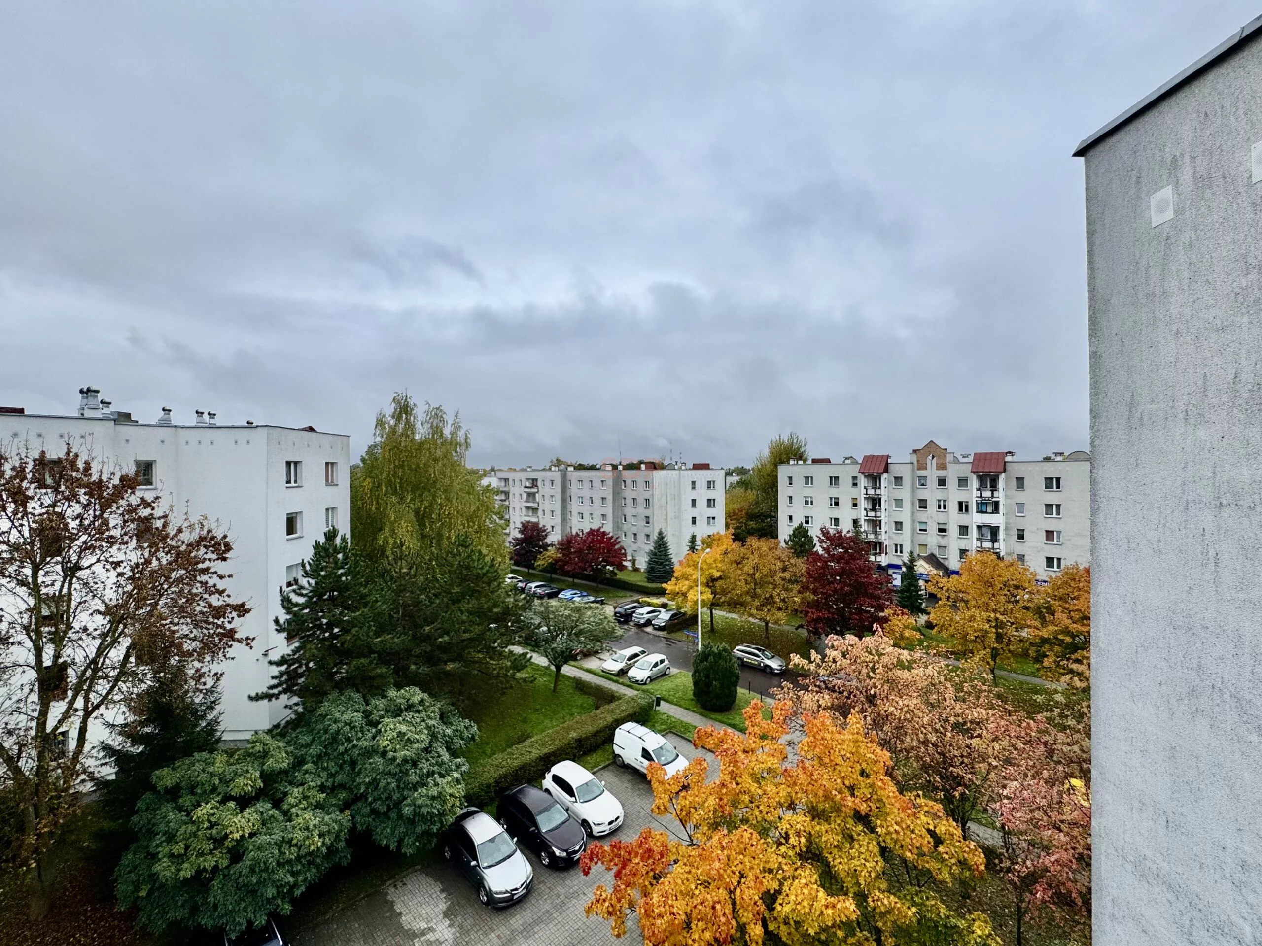 3 pokoje, mieszkanie 73,90 m², piętro 4, oferta nr , 42849, Łódź, Bałuty, Bałuty, Sobótki